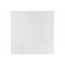 ARMSTRONG RETAIL NG Board 600 x 600 x 12 мм